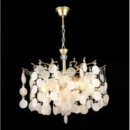 2808/6 GD (1) Люстра RL # 