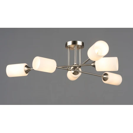 7356/6 SN (1) Люстра RL 