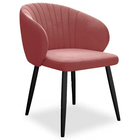 Стул DikLine 251 Стул DikLine 251