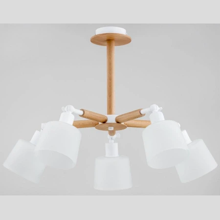 Люстра Alfa 27005 BUSHWICK