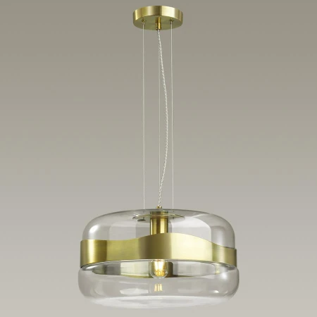 Светильник Odeon Light 4813/1A Apile