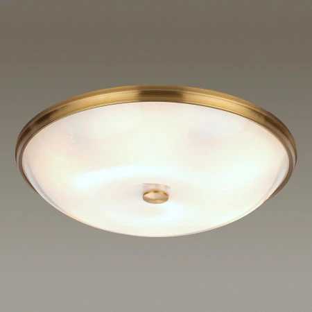 Светильник Odeon Light 4956/6 PELOW