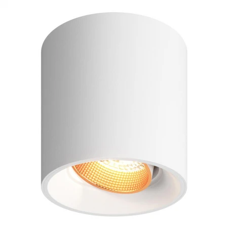 Точечный светильник DENKIRS DK3090-WBR