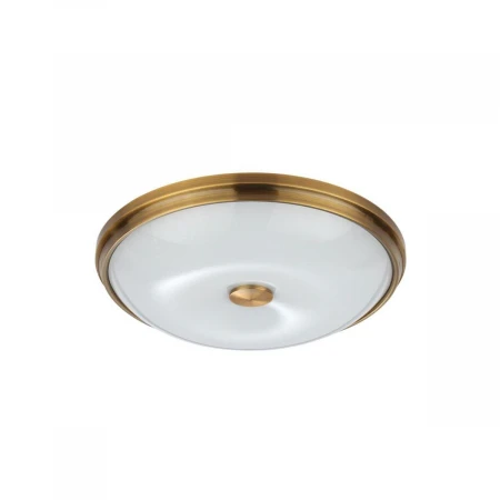 Потолочный светильник Odeon Light Pelow 4956/4