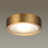 Потолочный светодиодный светильник Odeon Light Reus 4342/7CL Потолочный светодиодный светильник Odeon Light Reus 4342/7CL