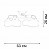 Потолочная люстра Vitaluce V43080-03/6PL