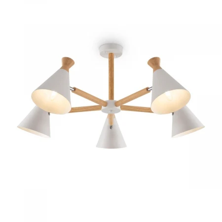 Потолочная люстра Freya Rise FR5169PL-05W