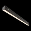 Трековый светодиодный светильник Maytoni Technica Basis TR030-2-24W3K-B