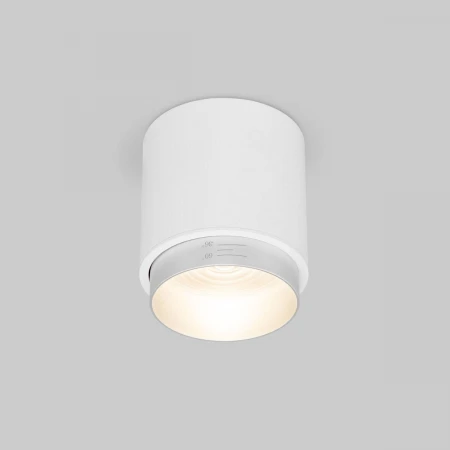 Накладной светодиодный светильник Elektrostandard Cors 25032/LED белый/серебро a062387