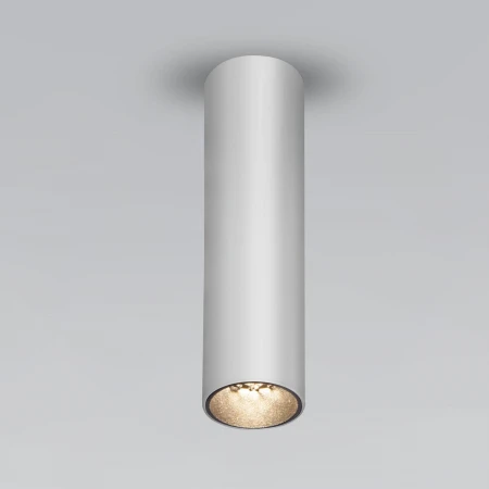 Накладной светодиодный светильник Elektrostandard Pika 25031/LED серебро a061535
