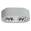 Потолочный светильник Arte Lamp Cliff A5643PL-2WH