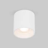 Накладной светодиодный светильник Elektrostandard Orson 25034/LED 10W 4200K белый a062930
