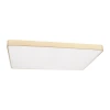 Потолочный светодиодный светильник Loft IT Flims 10228/E
