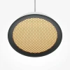 Подвесной светодиодный светильник Maytoni El MOD041PL-L15WG3K