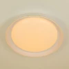 Потолочный светодиодный светильник Citilux Mega CL752450G