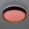 Потолочный светодиодный светильник Citilux Boss CL751251G