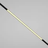 Трековый светодиодный светильник Maytoni Technical Basis TR030-2-30W2.7K-B