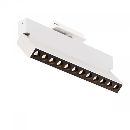 Трековый светильник Maytoni Technical TR224-1-12WCCT-M-W