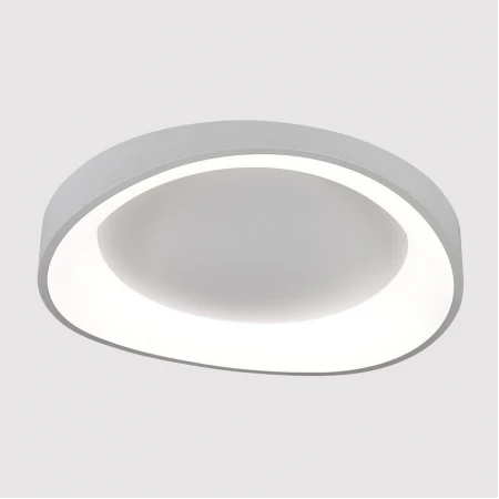 Потолочный светодиодный светильник Arte Lamp Sualocin A2698PL-60WH