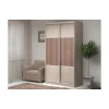 Шкаф-купе Адриано-2.1 1500x496x2400 мм Шкаф-купе Адриано-2.1 1500x496x2400 мм