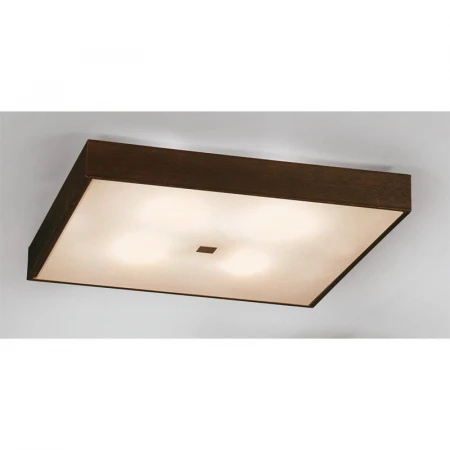 Светильник Citilux CL940411 Кваттро