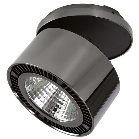 Точечный светильник Lightstar 214828 Forte inca