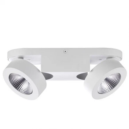 Спот Odeon Light 3538/2LC LACONIS