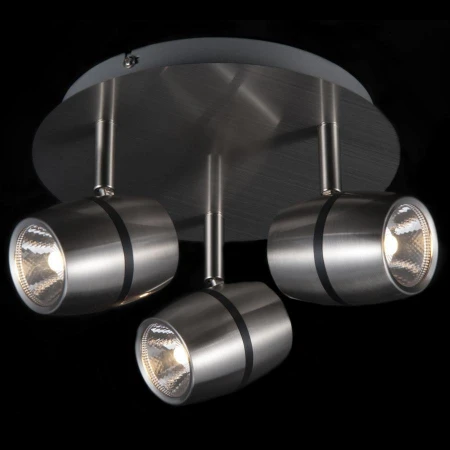 Спот Maytoni ECO004-03-N Meson