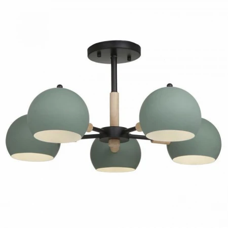 Люстра Freya FR5032CL-05B Trisha