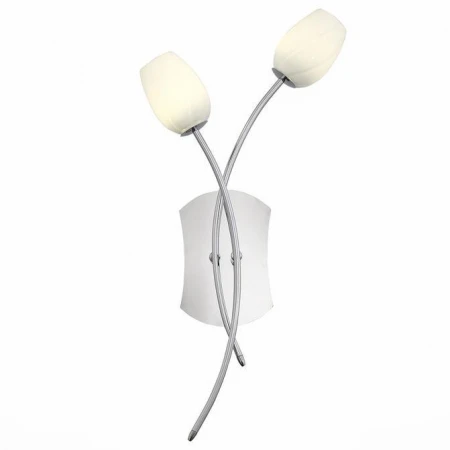 Бра ST LUCE SL478.101.02 Luna