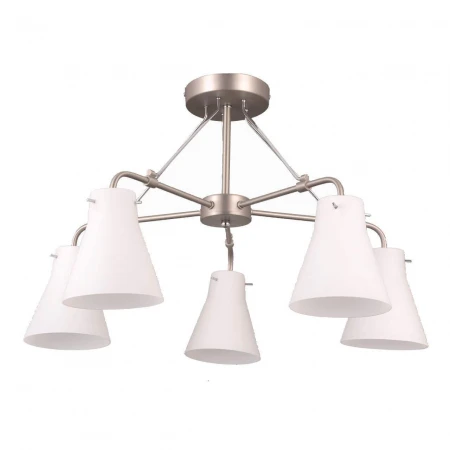 Потолочная люстра Vele Luce Fedele VL1365L05