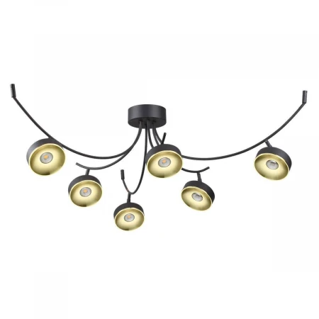 Потолочная светодиодная люстра Odeon Light Fineca 3812/42CL