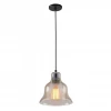 Подвесной светильник Arte Lamp Amiata A4255SP-1AM