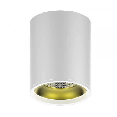 Потолочный светодиодный светильник Gauss Overhead HD010