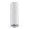 Потолочный светильник Lightstar Rullo 214496 Потолочный светильник Lightstar Rullo 214496