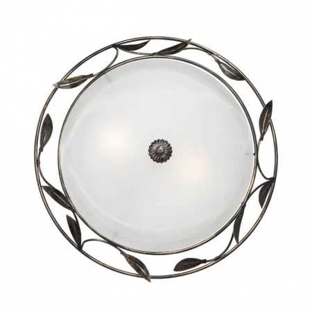 Настенно-потолочный светильник Vitaluce V6863-1/2A