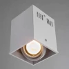 Потолочный светильник Arte Lamp Cardani A5942PL-1WH