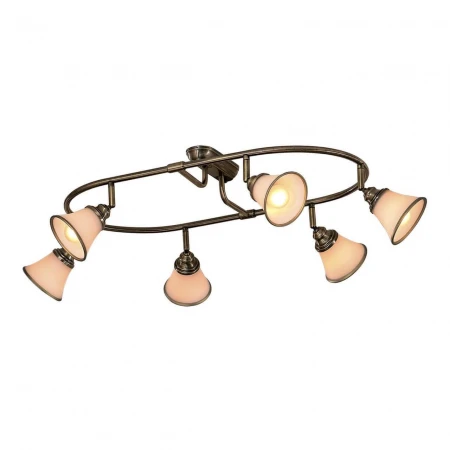 Спот Citilux Прованс CL511163