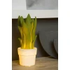Настольная лампа Lucide Sansevieria 13522/01/33
