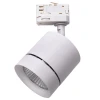 Трековый светодиодный светильник Lightstar Canno Led 301562