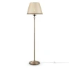 Торшер Maytoni Soffia RC093-FL-01-R